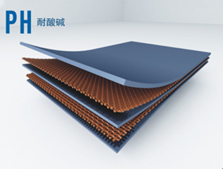 耐酸碱输送带